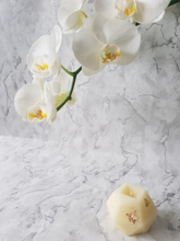 Load image into Gallery viewer, Champagne Fizz Mini